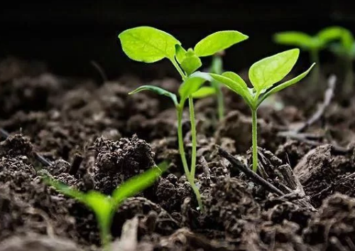 土壤污染檢測 土壤污染檢測