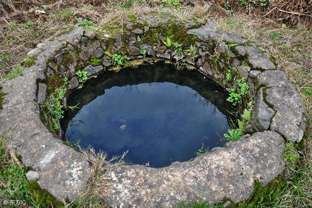 井水檢測 井水檢測