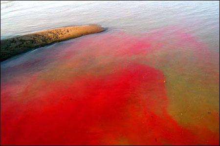 印染廢水檢測 印染廢水檢測