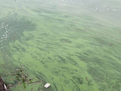 深圳水質檢測機構 深圳水質檢測機構