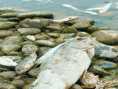 深圳水質(zhì)檢測(cè) 深圳水質(zhì)檢測(cè)