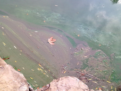 第三方水質檢測公司 第三方水質檢測公司