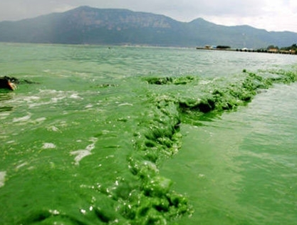 第三方水質(zhì)檢測公司 第三方水質(zhì)檢測公司