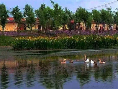 第三方水質(zhì)檢測機(jī)構(gòu) 第三方水質(zhì)檢測機(jī)構(gòu)