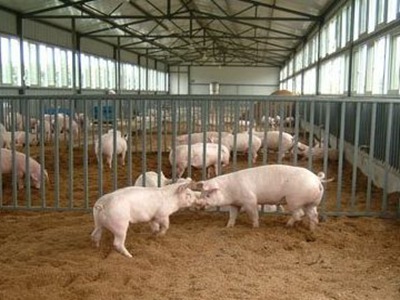 深圳環(huán)境噪音檢測(cè) 深圳環(huán)境噪音檢測(cè)